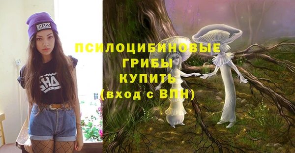 дмт Алексеевка