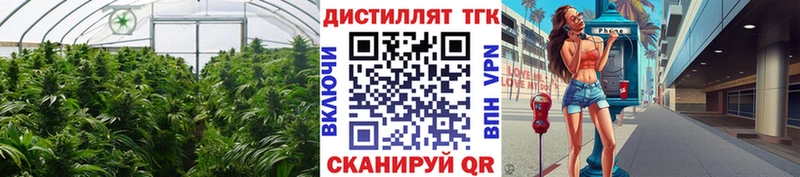Дистиллят ТГК концентрат  наркошоп  Котлас 