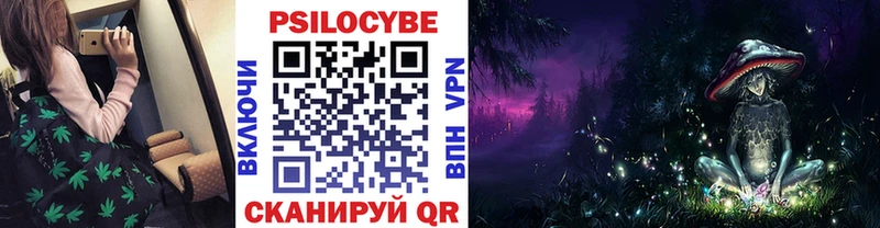 мега онион  как найти наркотики  сайты даркнета какой сайт  Псилоцибиновые грибы Psilocybine cubensis  Котлас 